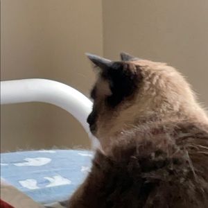 Meet your Posher, Katherine